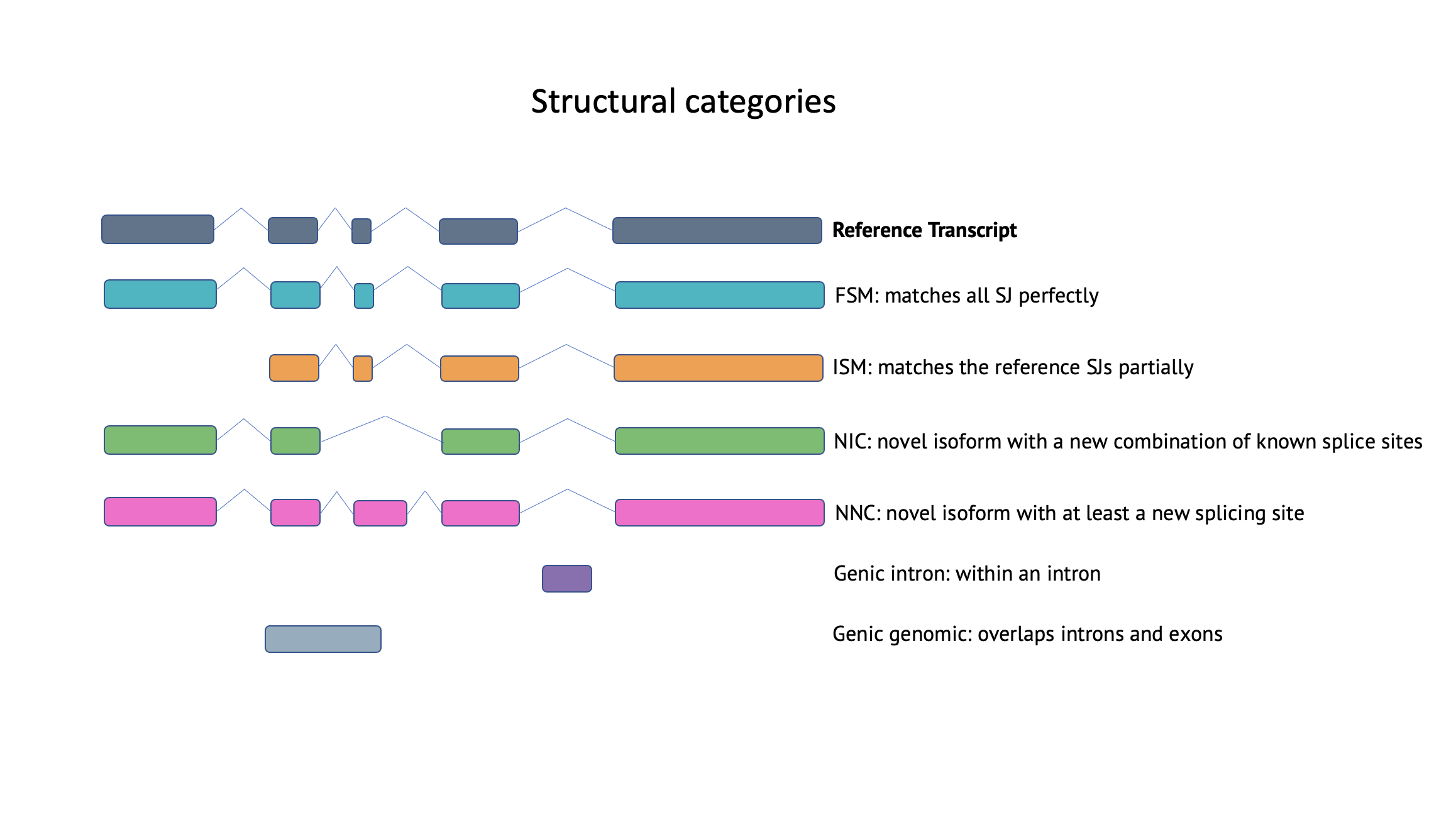 isoform categories