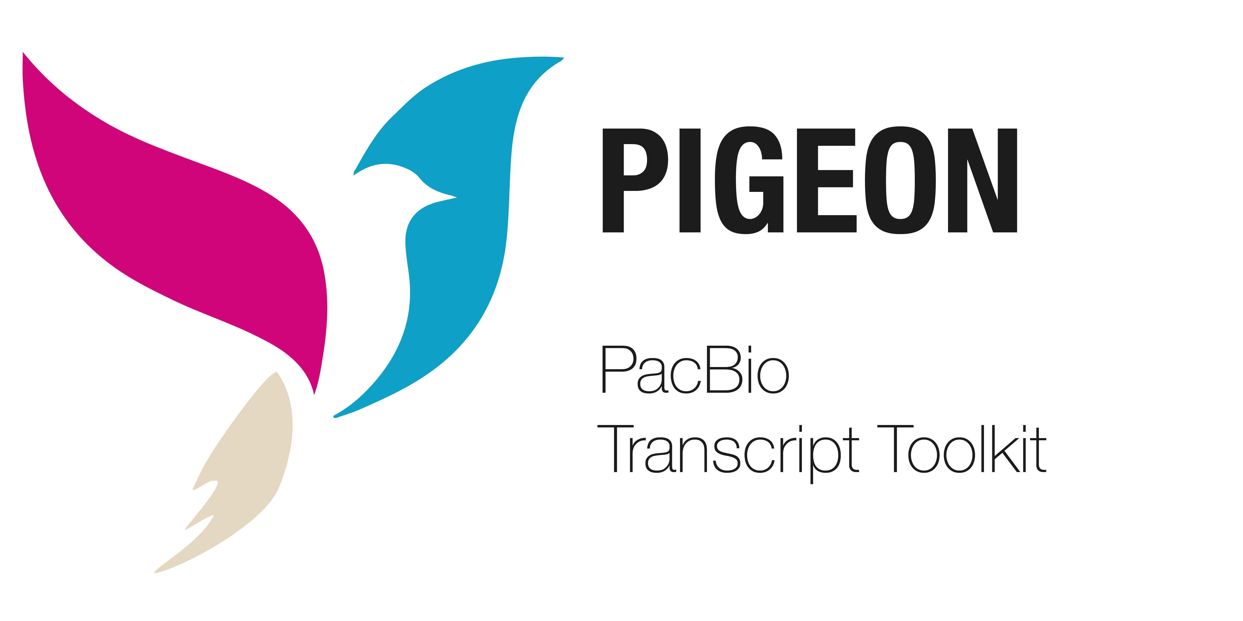 pigeon logo